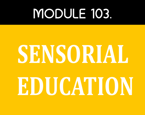MOUDLE 103 – SENSORIAL EDUCATION