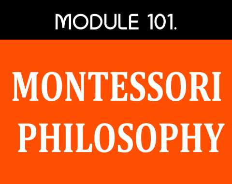 MODULE  101 – MONTESSORI PHILOSOPHY