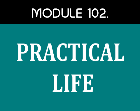 MODULE  102 – PRACTICAL LIFE